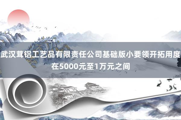 武汉茸铝工艺品有限责任公司基础版小要领开拓用度在5000元至1万元之间